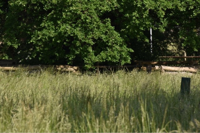 StMedardus26-1024x683-640x480